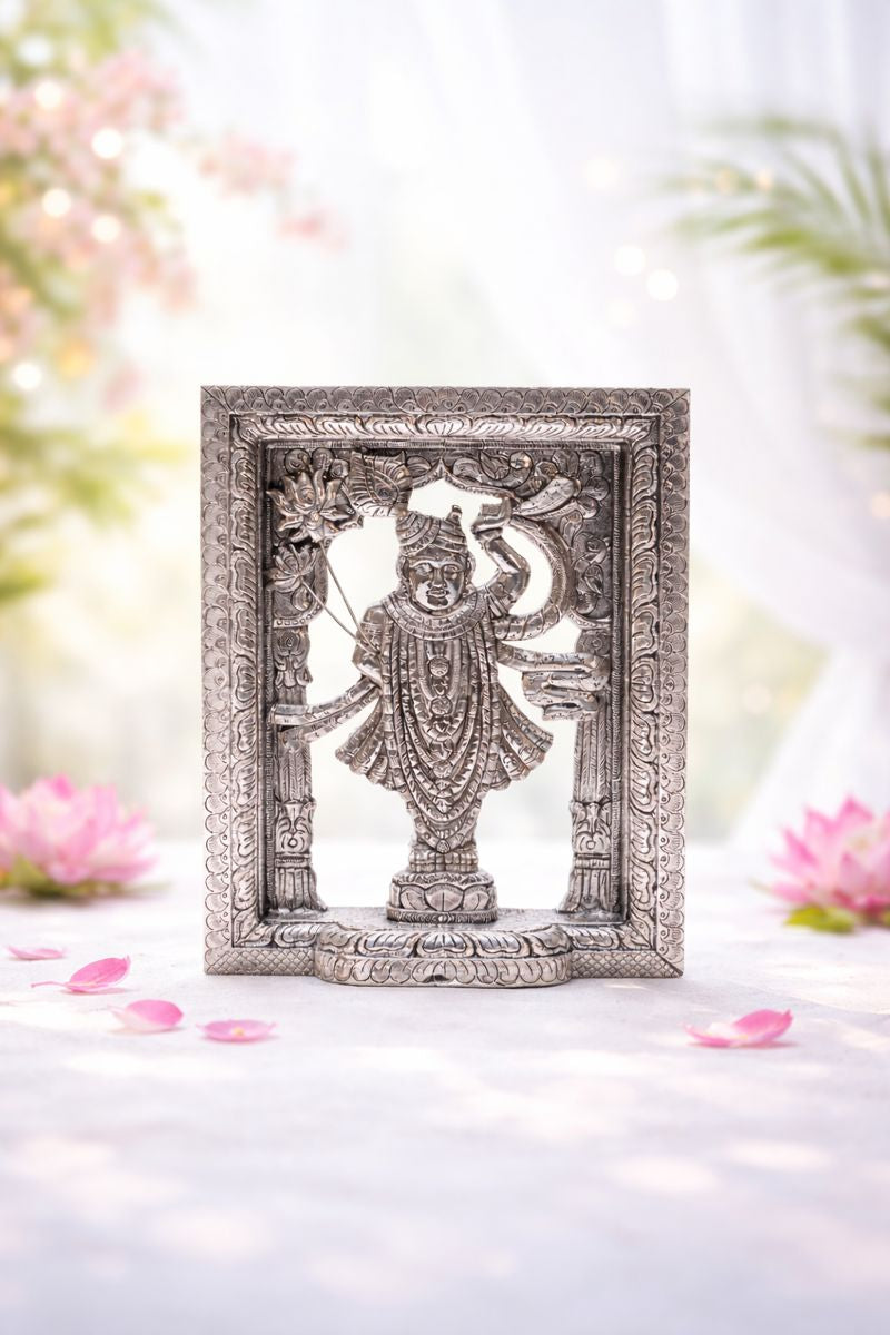 Silver Shrinath Ji